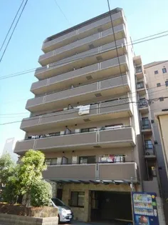 GATHERIA PACEの画像