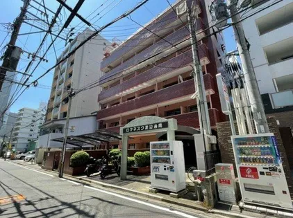 ロマネスク渡辺通南の画像