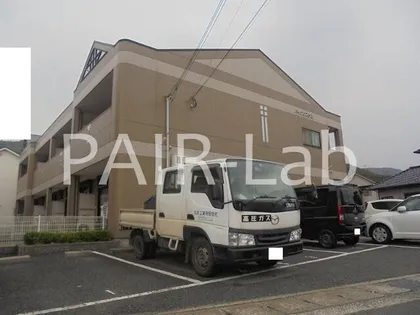 ハイクリスタルの画像