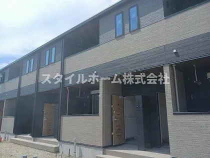 フリージアBの画像