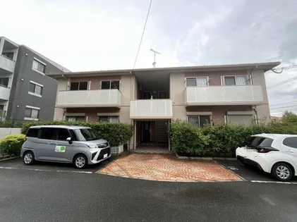 リンデンバームの画像