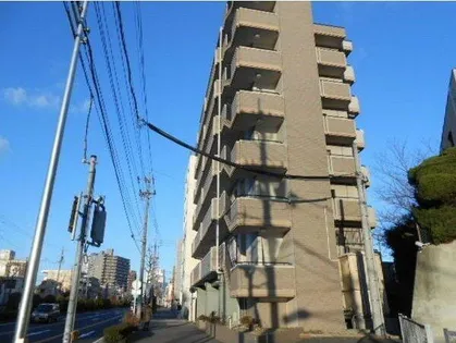 リエス白鳥の画像