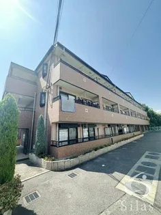 サンライズ フジの画像