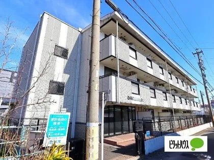 DAIMAN HOUSE昭和橋の画像