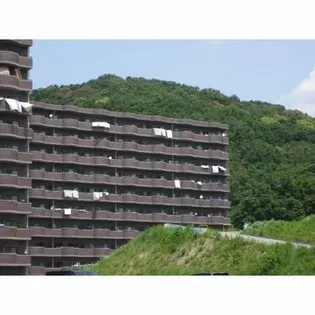 天神山マンションⅡ号館の画像
