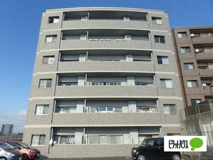 クオリアの画像