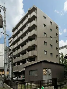 南天神リ リュミエールの画像