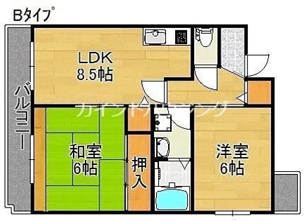 リーデルフェリア住之江【3階】の間取り