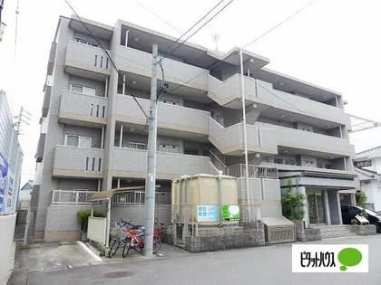 セントラーゼの画像