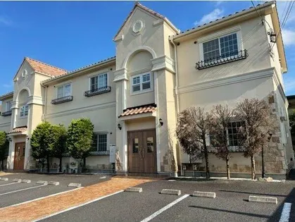 ノラ アルボレの画像