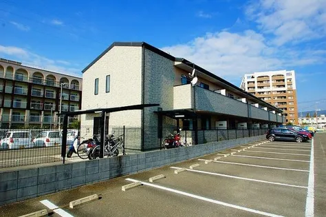 アンプルールフェールハンナハンナの画像