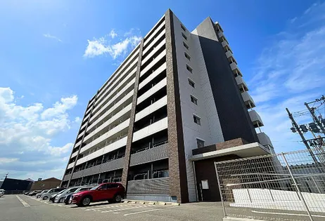 レジェンド朽網の画像