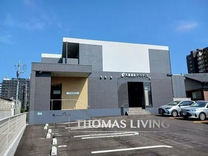 コスモス Nの画像