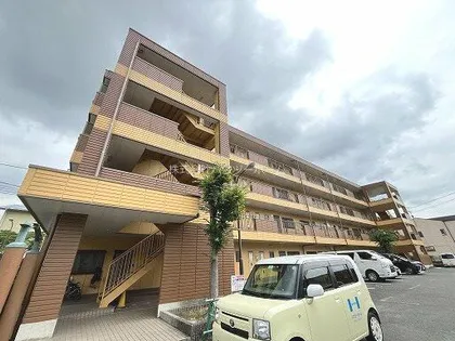 パインフィールドの画像