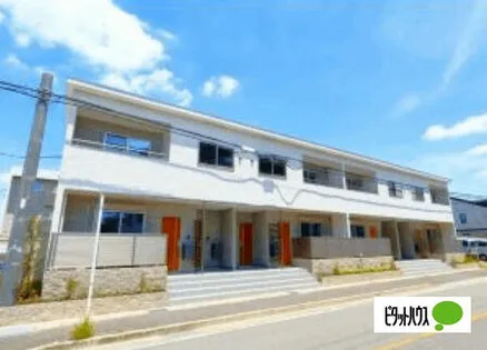 コディーノの画像