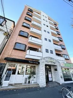 カサパロマ水木の画像