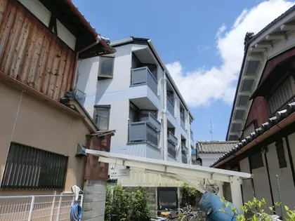 グランシャリオカツラの画像