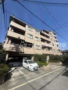 オリエンタルコートの画像