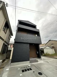 朝の春風とふんわりしっぽの画像