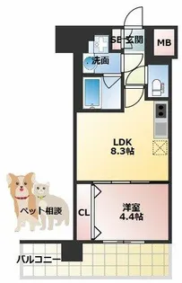 スプランディッド難波III【3階】の間取り