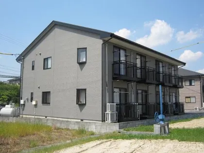 ブライトカメリアの画像