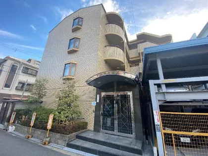 サンマリモの画像