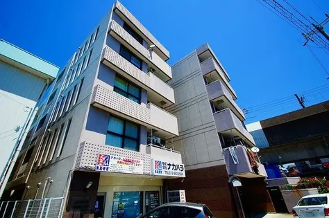 ル シェルの画像