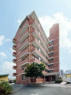 グレイスコーポ東那珂の画像