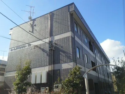 カームパインツリー23の画像