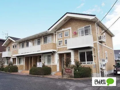 COTTON HILLSの画像