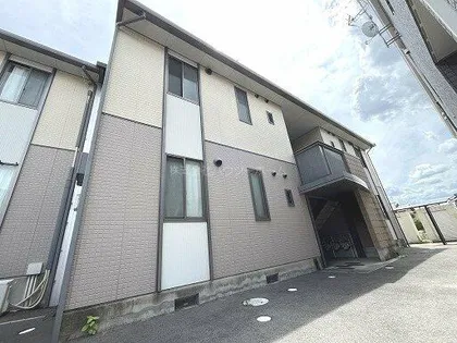 サクラ21の画像