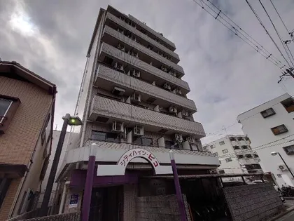 シティハイツピコ【7階】の外観