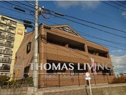 ハイグレイスの画像