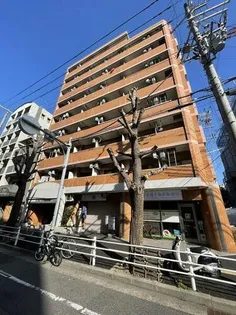 ダイアパレス水木通弐番館【7階】の外観