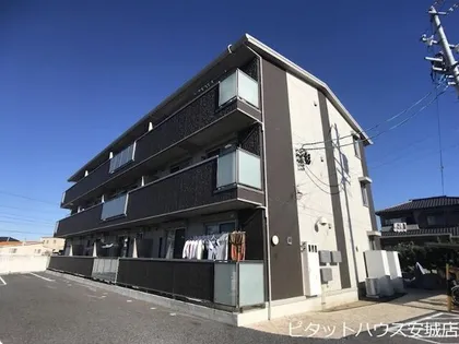 ドルチェビータの画像