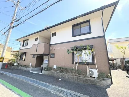 ハイカムール庭井の画像