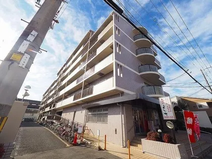 グロアールマイスの画像