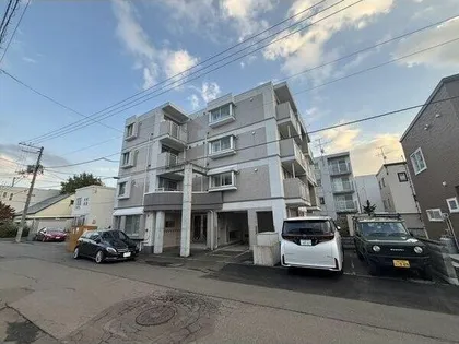 エクセラン17の画像