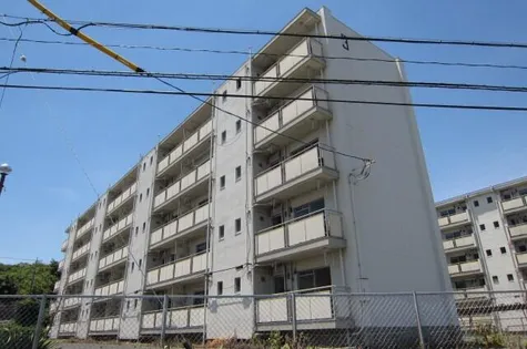 ビレッジハウス拾石3号棟【406号室】の外観