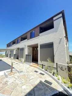 サジュールKの画像