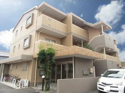 ジュネスホワイトの画像