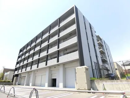 サクシード胤の画像