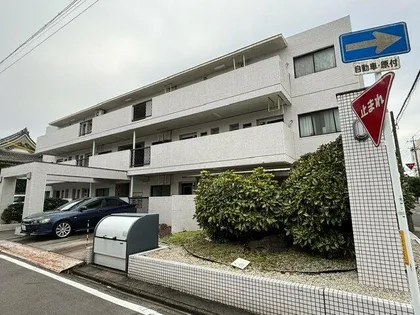 カーサソロチョウの画像