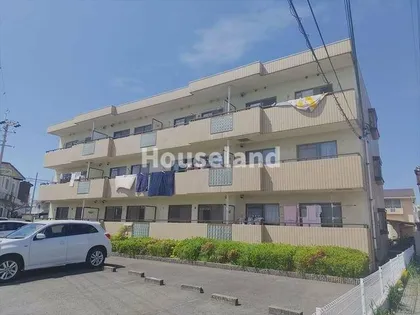 アンブリックの画像