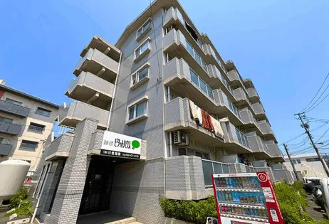 シャトレ沼本町の画像