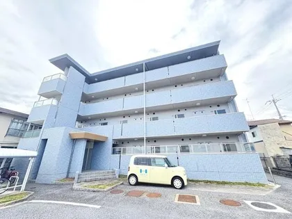 SOL ESTUDIOの画像