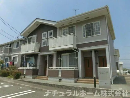 サンフラワーAの画像