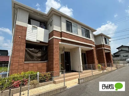 ワレア ハレ 高根の画像