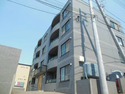 シャムロックの画像