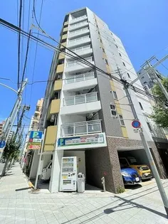 MOSAIQUEの画像